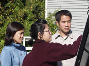 The collection's logo